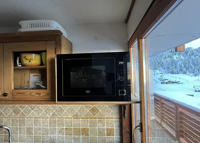 2 Pieces Avec Balcon, Proche Pistes, Animaux Admis - Fr-1-351-70 * La Plagne