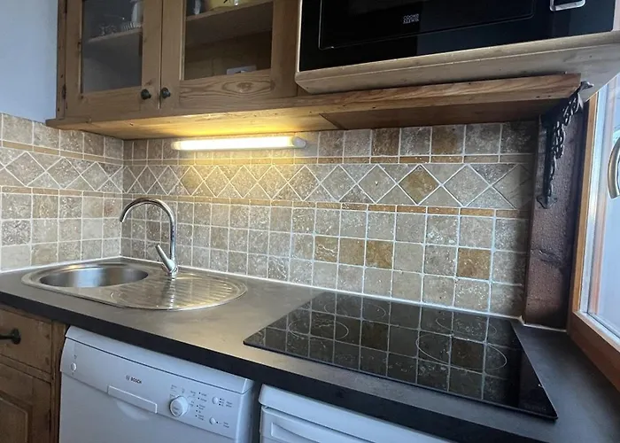 2 Pieces Avec Balcon, Proche Pistes, Animaux Admis - Fr-1-351-70 *